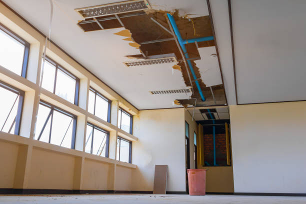 Best Flood restoration services  in St Ann, MO