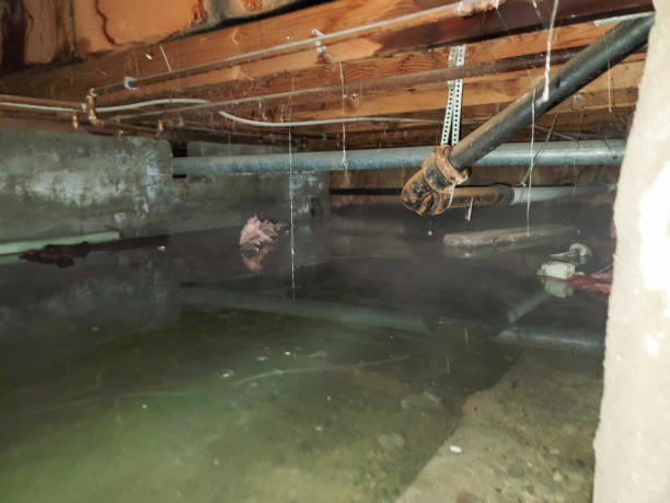 Best Fire Damage Restoration  in St Ann, MO