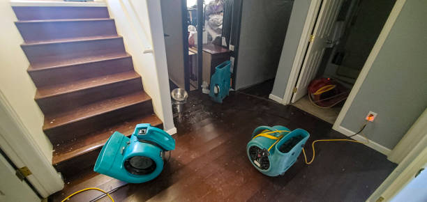 Best Residential water damage restoration  in St Ann, MO