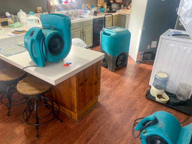 Best Commercial water damage restoration  in St Ann, MO
