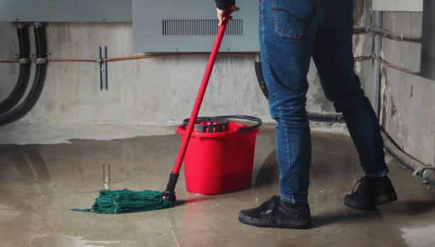 Best 24/7 water damage repair  in St Ann, MO