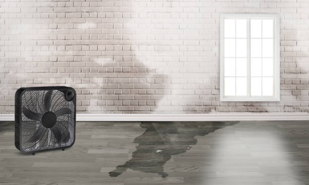 Sewage cleanup and water damage restoration in St Ann, MO
