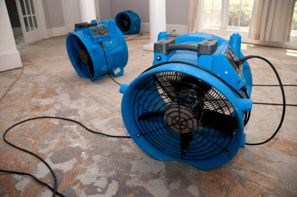 St Ann, MO Water damage restoration Company