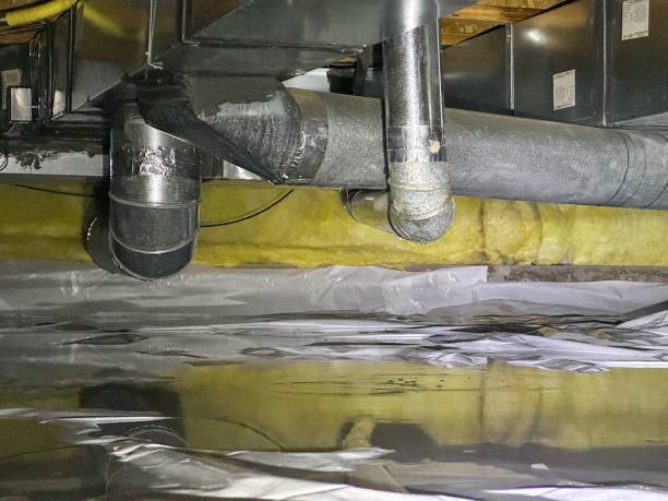 Best Local water damage restoration  in St Ann, MO