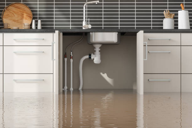Best 24-hour water damage restoration  in St Ann, MO