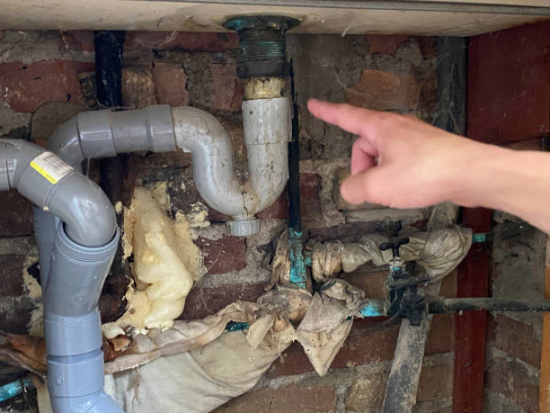 Best Ceiling water damage repair  in St Ann, MO