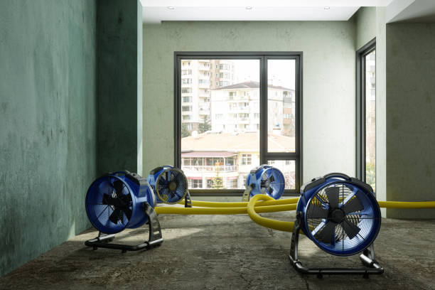 Best Water damage restoration near me  in St Ann, MO