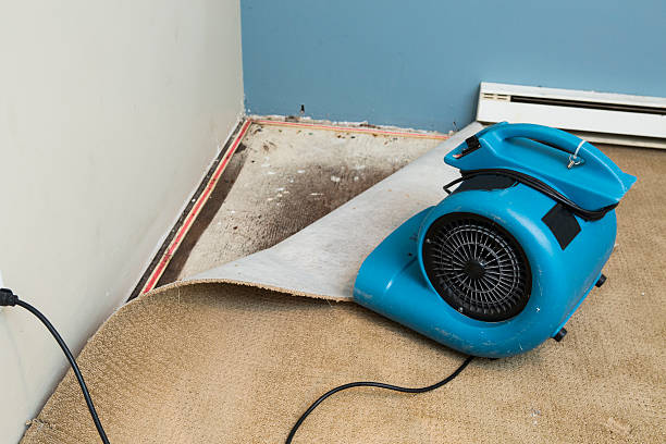 Water damage restoration mold remediation in St Ann, MO
